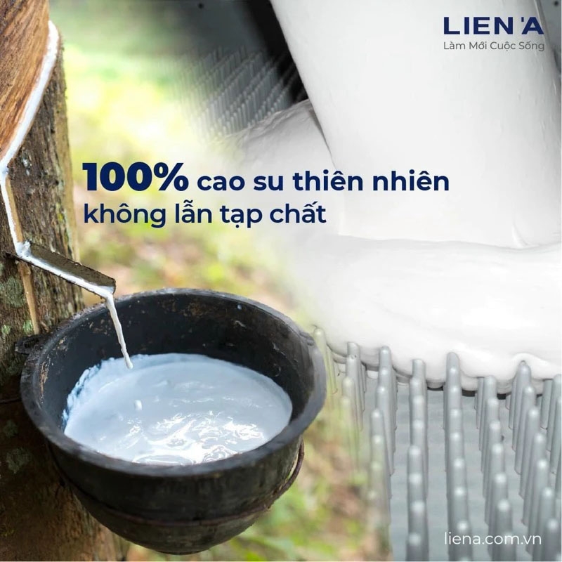 Đệm cao su Liên Á Premium Classic-1