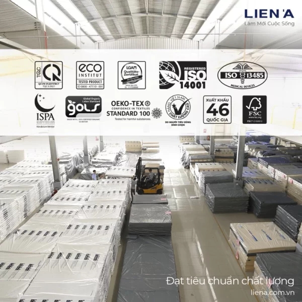 Đệm cao su Liên Á Fivezone-6