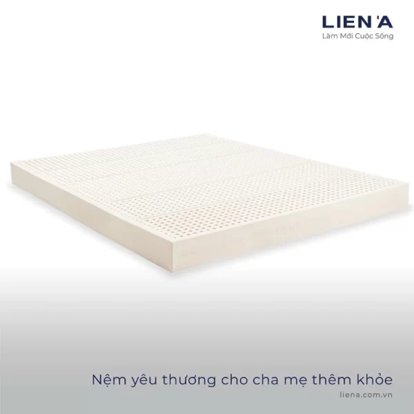 Đệm cao su Liên Á Fivezone-2