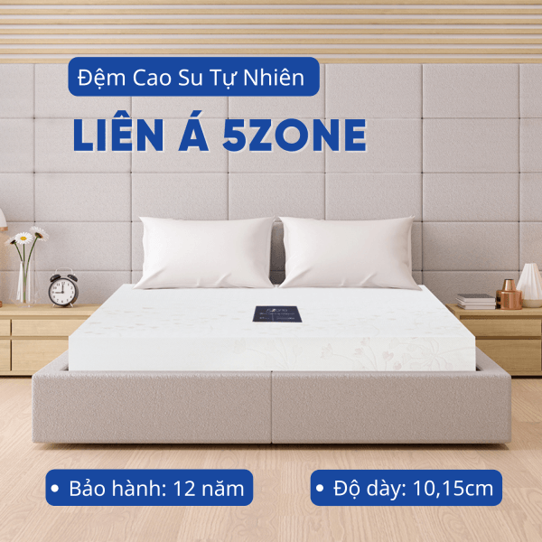 Đệm cao su Liên Á Fivezone-0
