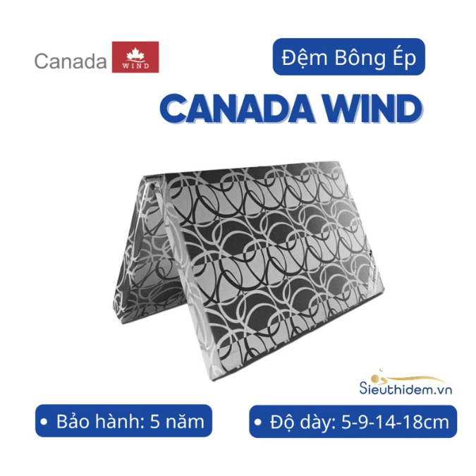 Đệm bông ép Canada Wind