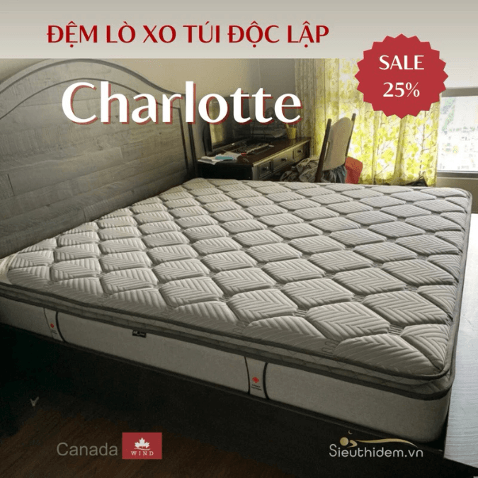 Đệm lò xo Canada Charlotte (200 x 220)-1
