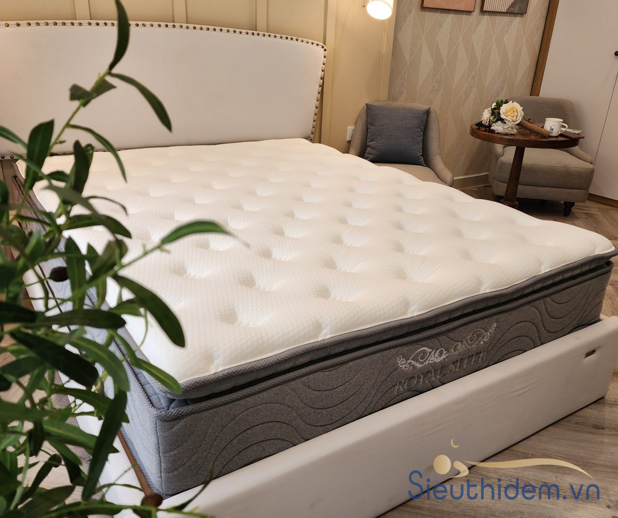 Đệm lò xo túi độc lập Royal Sleep-1